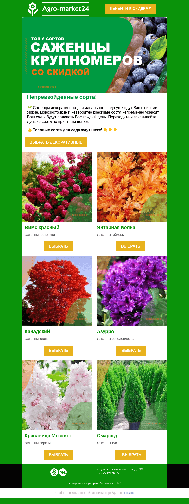 Письмо компании «Agromarket24» на тему «🌲 Топ-6 декоративных для идеального сада! Заказывайте прямо сейчас.»