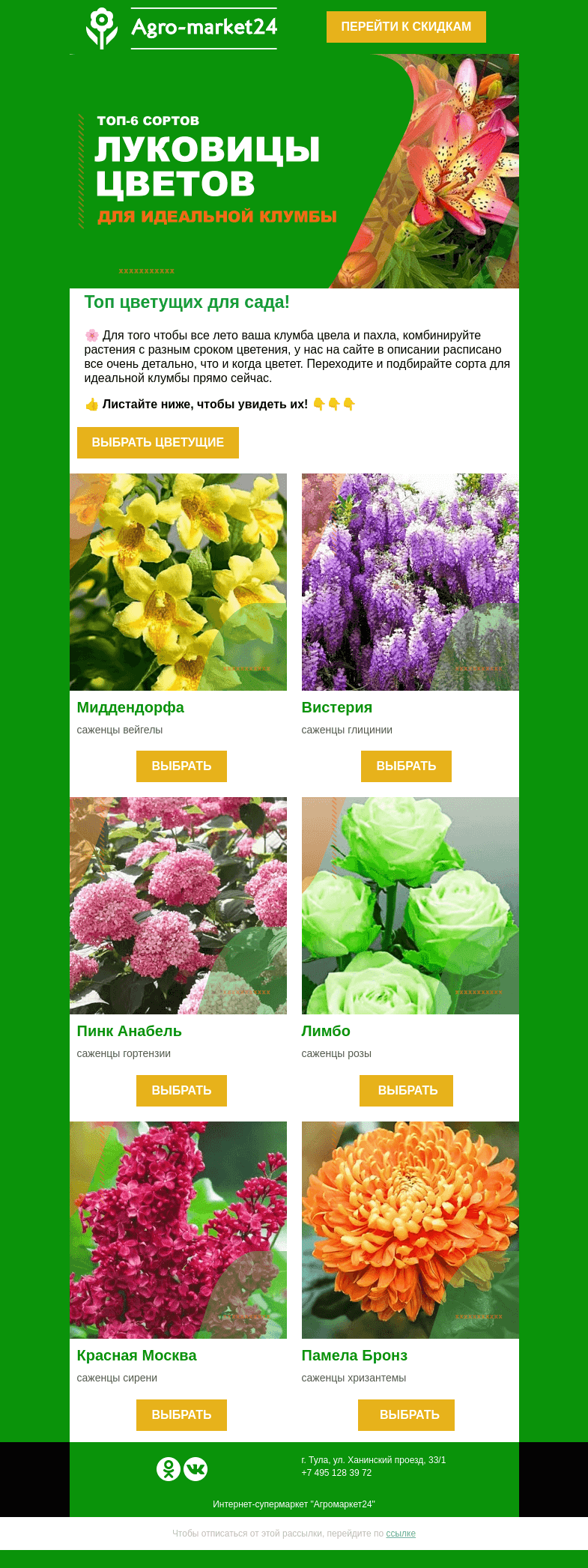 Письмо компании «Agromarket24» на тему «🌸Цветущие для идеальной клумбы! Переходите и выбирайте.»