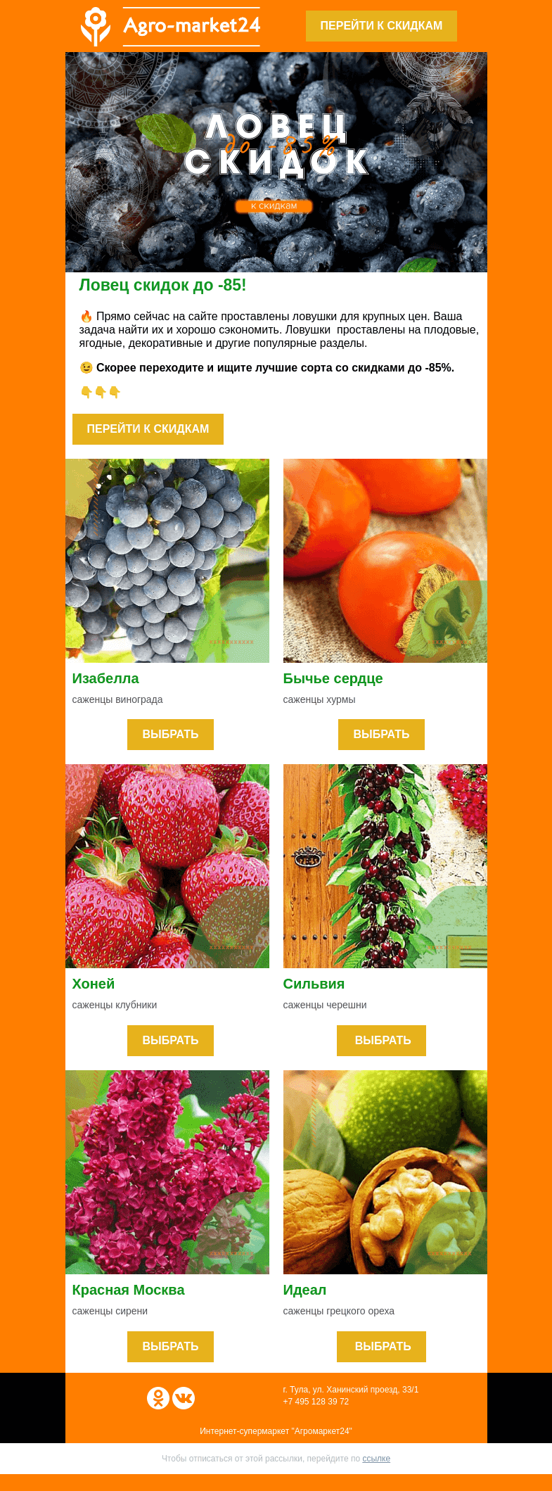 Письмо компании «Agromarket24» на тему «🤑 Ловец скидок до 85%! Переходите и ищите растения уже сейчас.»