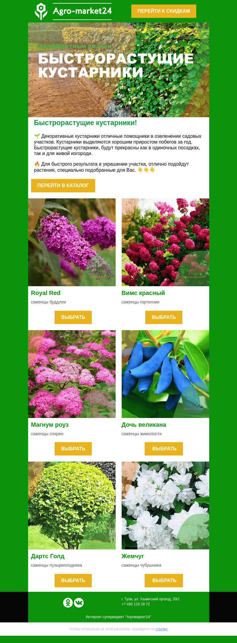 Письмо компании «Agromarket24» на тему «Быстрорастущие кустарники! Лучшие сорта в письме.»