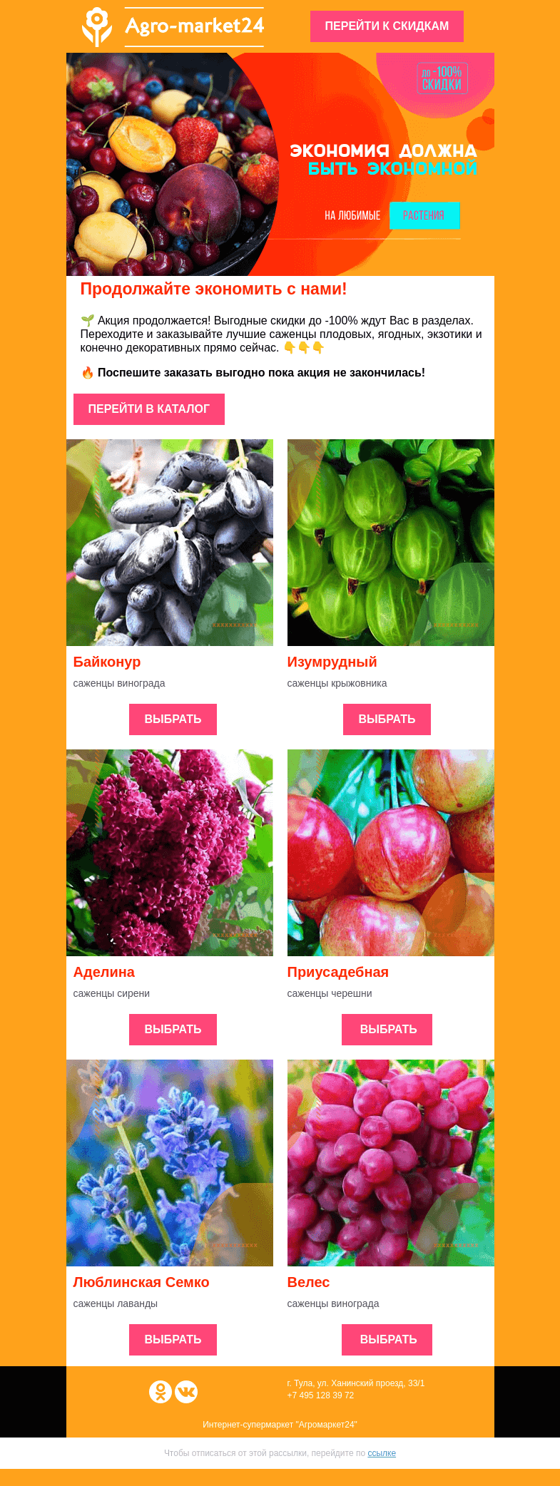 Письмо компании «Agromarket24» на тему «Саженцы со скидкой до -100% в письме. Экономия должна быть экономной.»