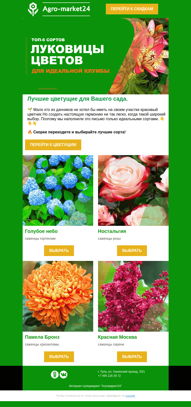 Письмо компании «Agromarket24» на тему «Популярные цветущие! Переходите и выбирайте лучшие сорта.»