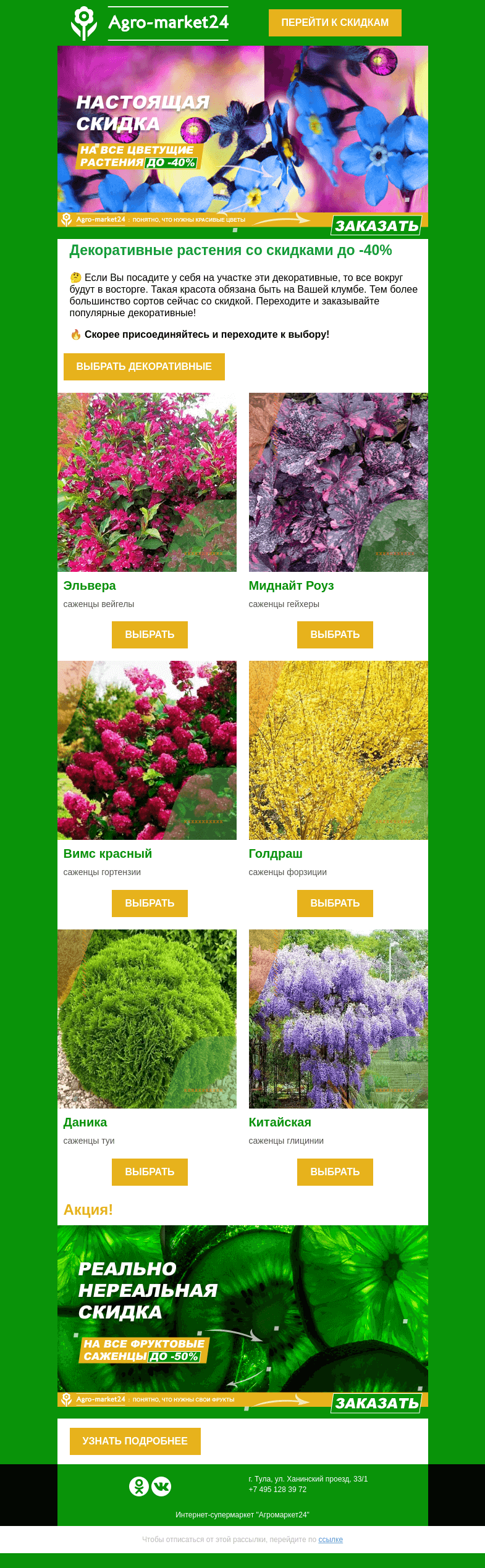 Письмо компании «Agromarket24» на тему «Декоративные для идеального сада! Выбирайте лучшие сорта прямо сейчас.»