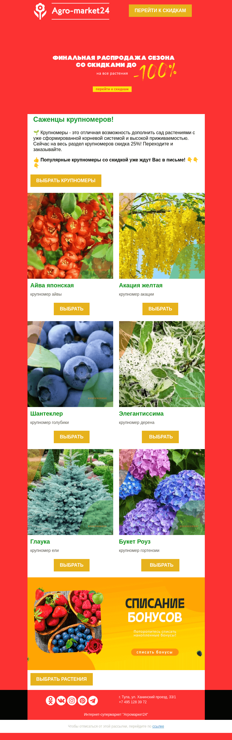Письмо компании «Agromarket24» на тему «🌱😉 Саженцы крупномеров! -25% на все растения в ассортименте.»