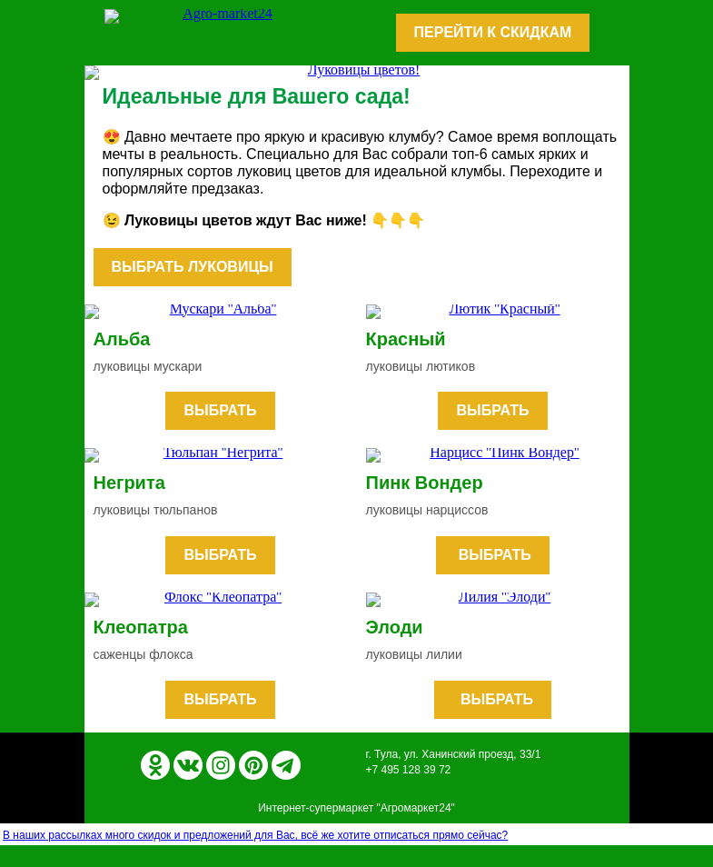 Письмо компании «Agromarket24» на тему «👍😍 Луковицы цветов! Топ-6 сортов для яркой клумбы.»