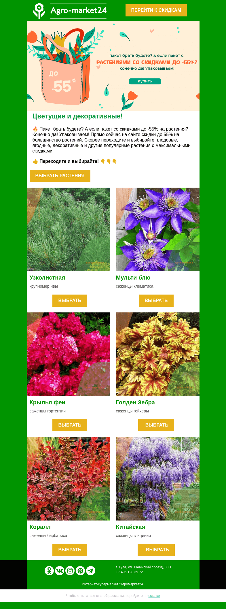 Письмо компании «Agromarket24» на тему «🌱🔥 До -55% на цветущие и декоративные! Переходите и заказывайте.»