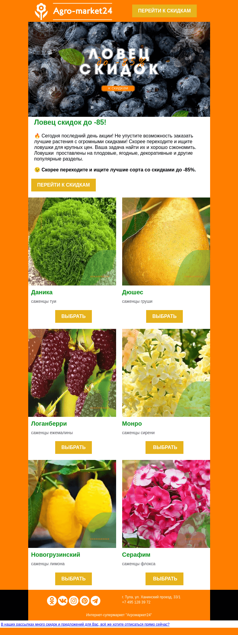 Письмо компании «Agromarket24» на тему «😱🔥 Последний день акции! До -85% на все растения.»