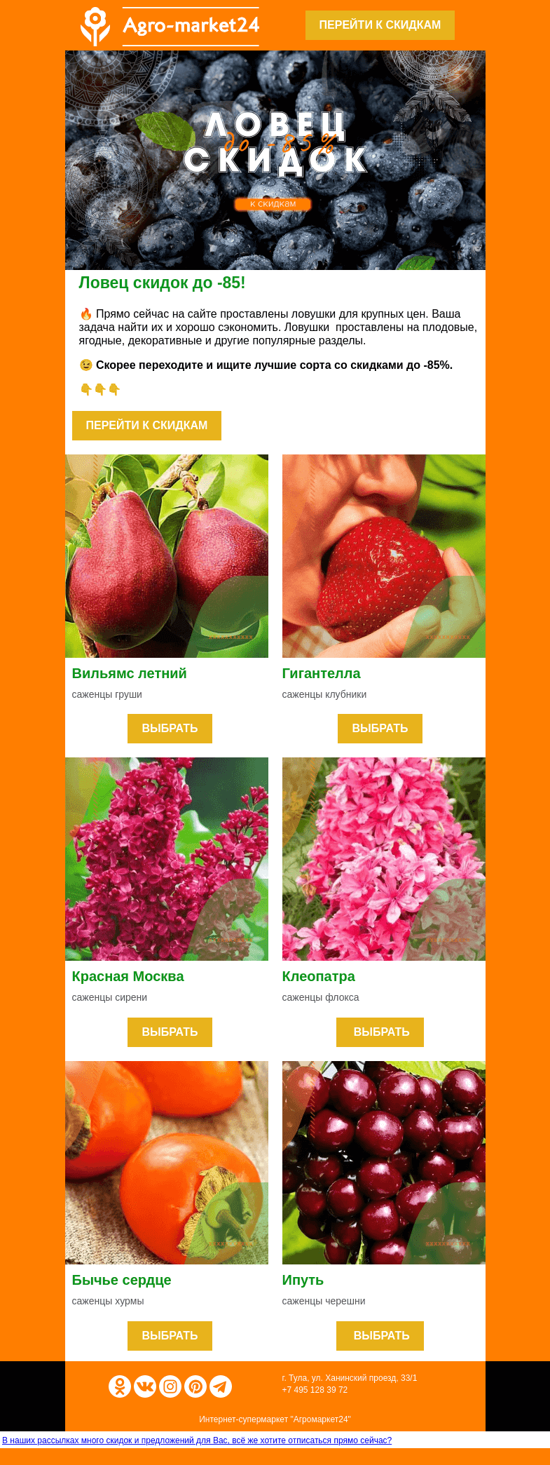 Письмо компании «Agromarket24» на тему «😱🤑 Ловец скидок до 85%! Переходите и ищите растения прямо сейчас.»