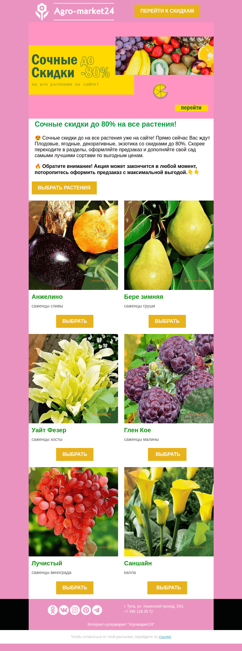 Письмо компании «Agromarket24» на тему «😍😱 Сочные скидки! До -80% на все растения.»