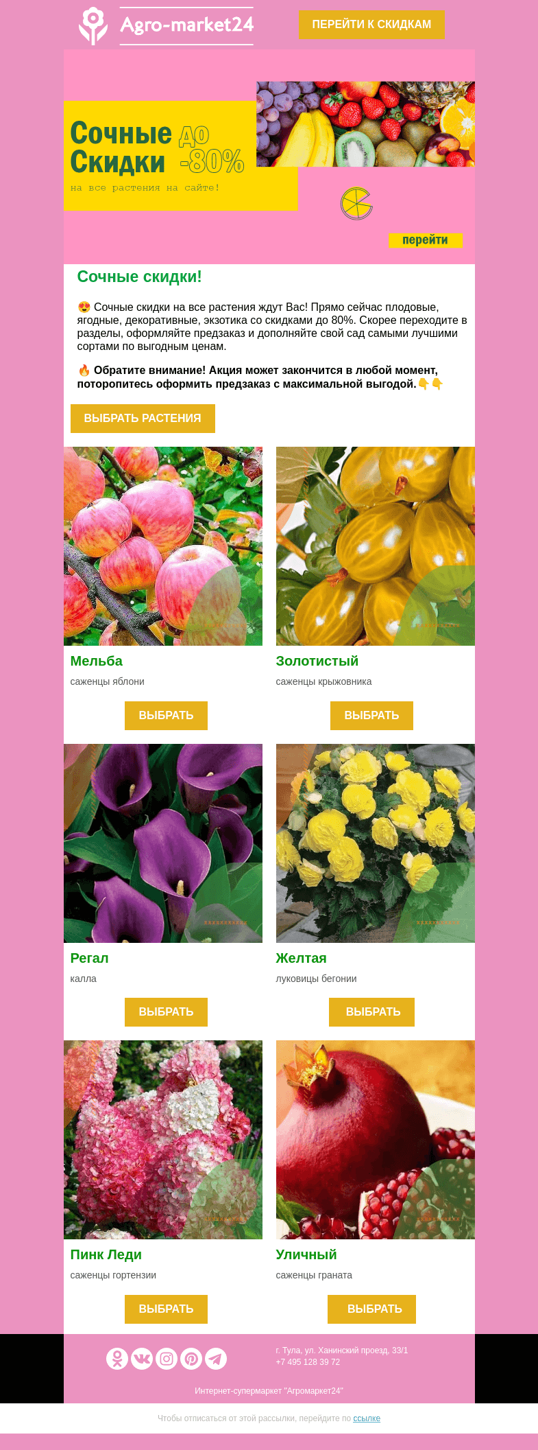 Письмо компании «Agromarket24» на тему «😍🔥 Сочные скидки до -80%! Топ-6 растений ждут Вас в письме.»