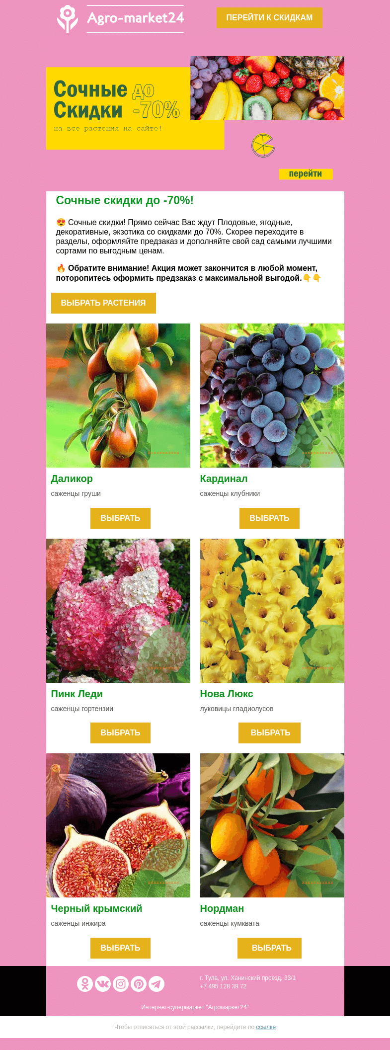 Письмо компании «Agromarket24» на тему «😍🌱 Сочные скидки! До -70% на все растения в каталоге.»