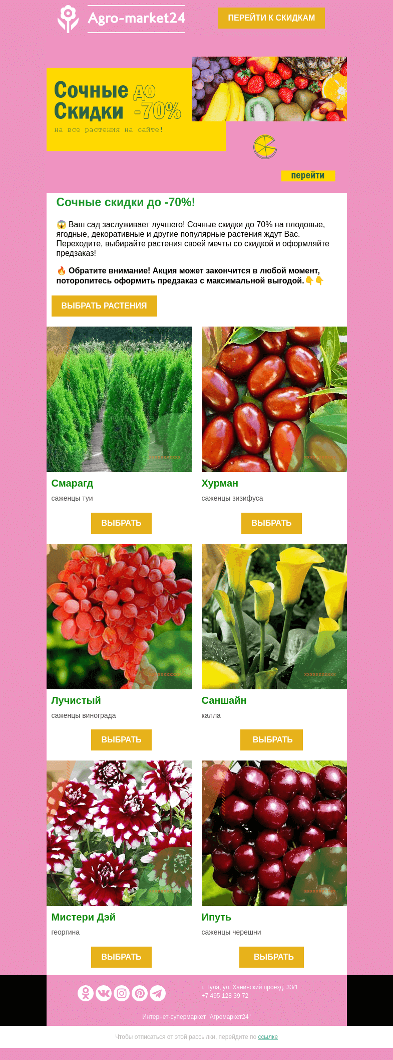 Письмо компании «Agromarket24» на тему «😱🌱 Ваш сад заслуживает лучшего! До -70% на все растения в каталоге.»