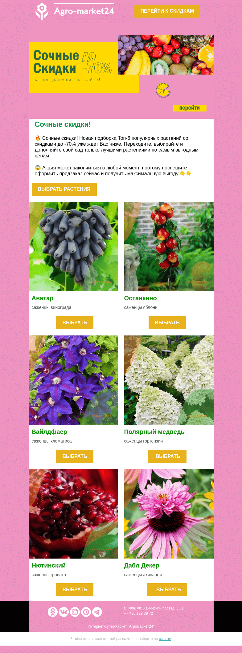 Письмо компании «Agromarket24» на тему «😉😍 Сочные скидки до -70%! Топ-6 популярных растений ждут в письме.»