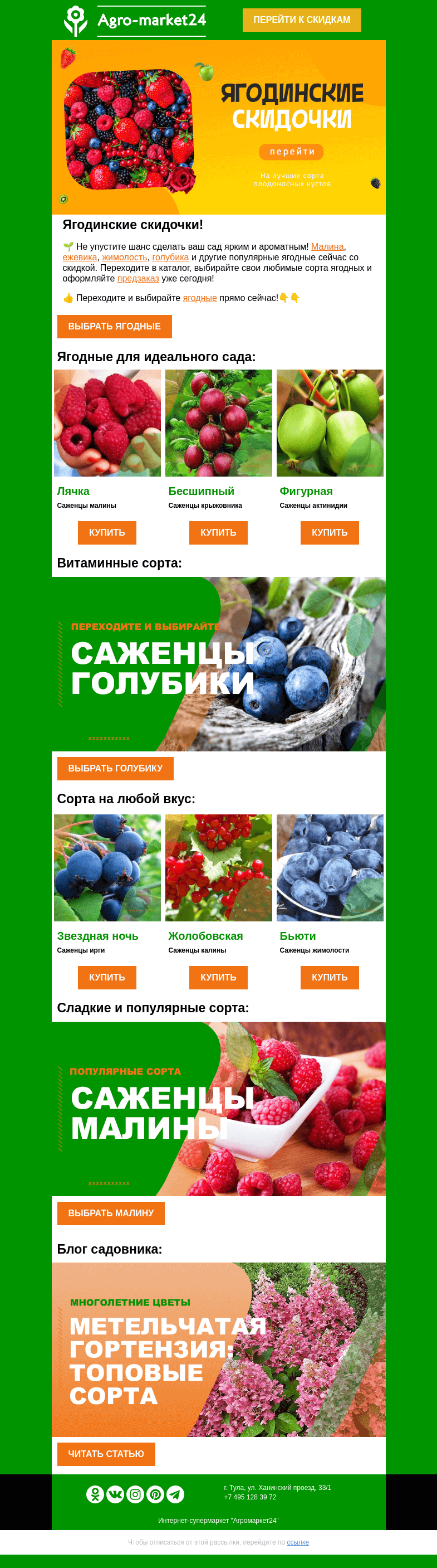 Письмо компании «Agromarket24» на тему «🌱🍓 Ягодинские скидочки! На лучшие сорта плодоносных кустов.»