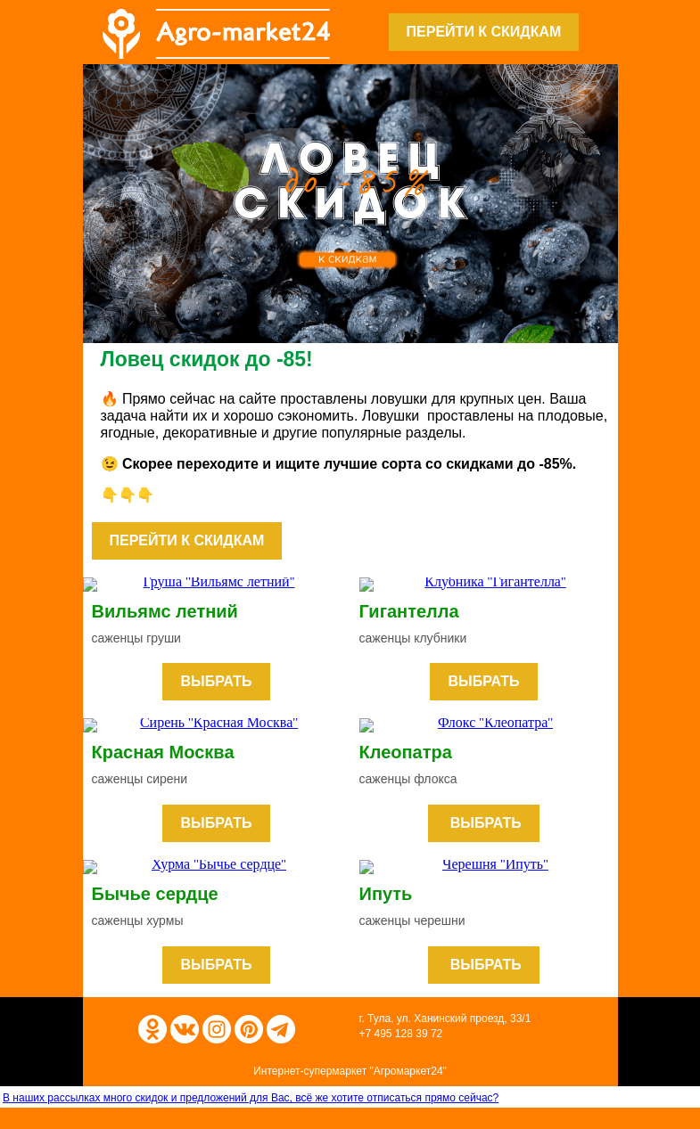 Письмо компании «Agromarket24» на тему «😱🤑 Ловец скидок до 85%! Переходите и ищите растения прямо сейчас.»
