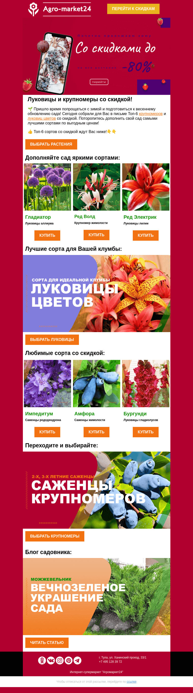 Письмо компании «Agromarket24» на тему «🔥🌱 Луковицы цветов и крупномеры со скидкой до -80%! Переходите.»