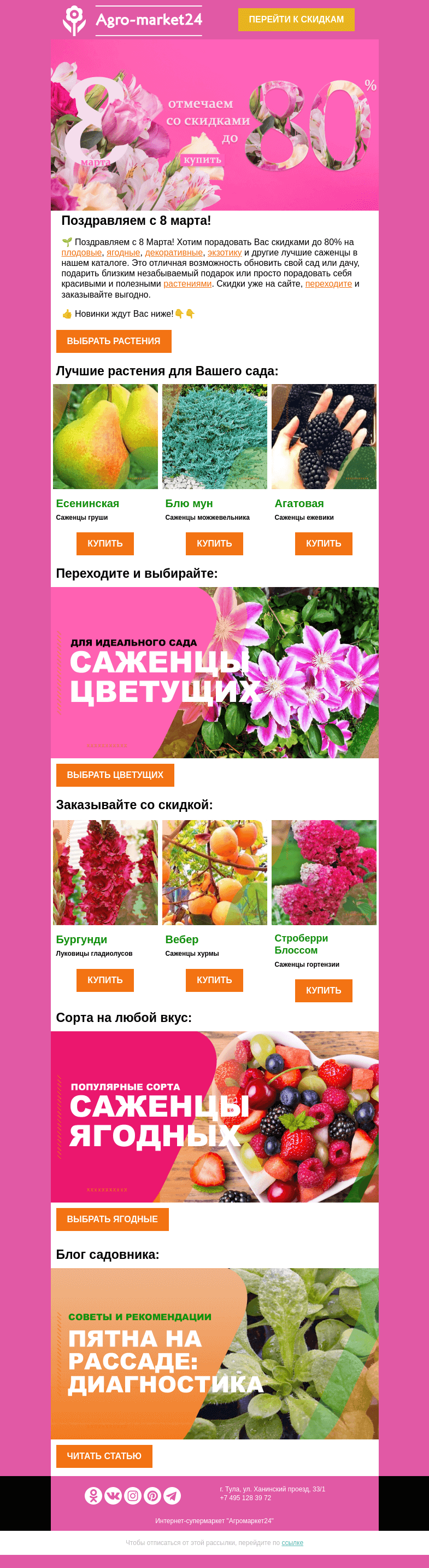 Письмо компании «Agromarket24» на тему «🍓🌱 С 8 Марта! Скидки до -80% уже в письме.»