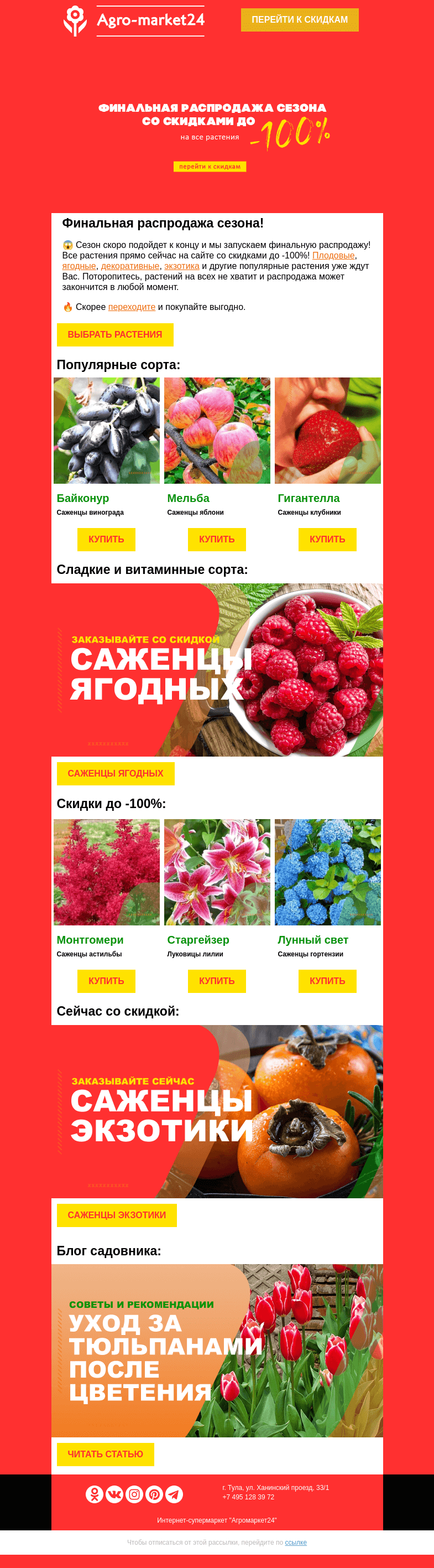 Письмо компании «Agromarket24» на тему «😱🔥 До -100% на все растения в каталоге! Переходите и заказывайте👉👉»