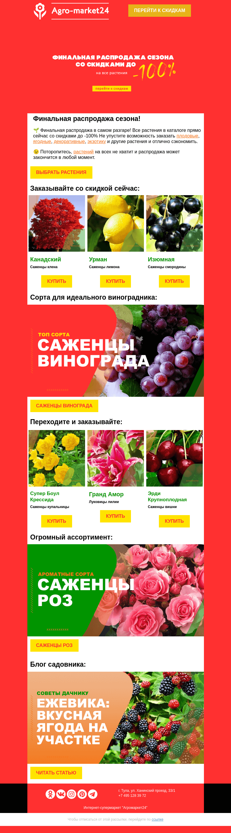 Письмо компании «Agromarket24» на тему «🔥🌱 Финальная распродажа! Топ-6 популярных сортов со скидкой в письме.»
