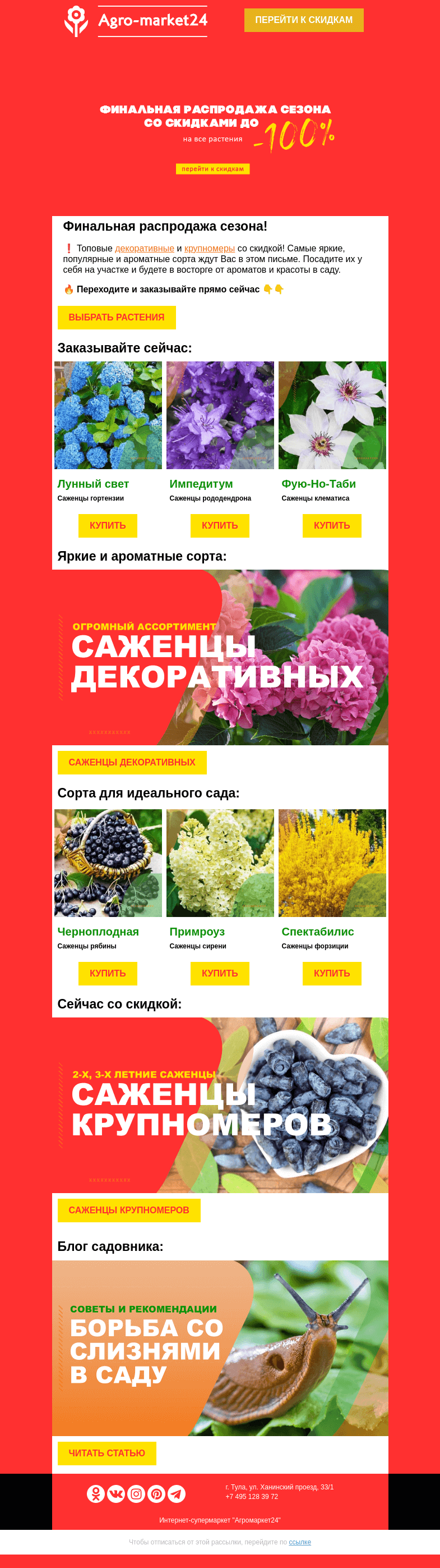 Письмо компании «Agromarket24» на тему «😍🔥 Декоративные и крупномеры! До -100% на лучшие сорта.»