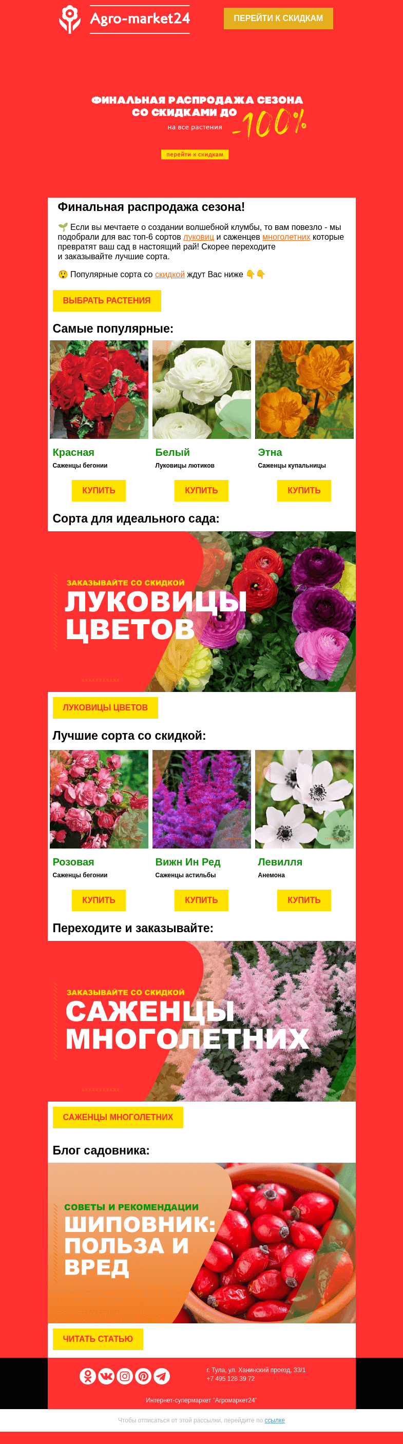Письмо компании «Agromarket24» на тему «🔥😍 Луковицы цветов и многолетние со скидкой! Переходите и заказывайте.»