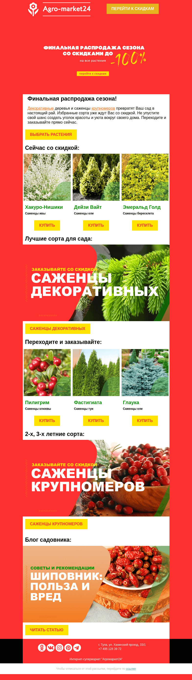 Письмо компании «Agromarket24» на тему «🔥🌱 Декоративные и крупномеры! До -100% на лучшие сорта.»