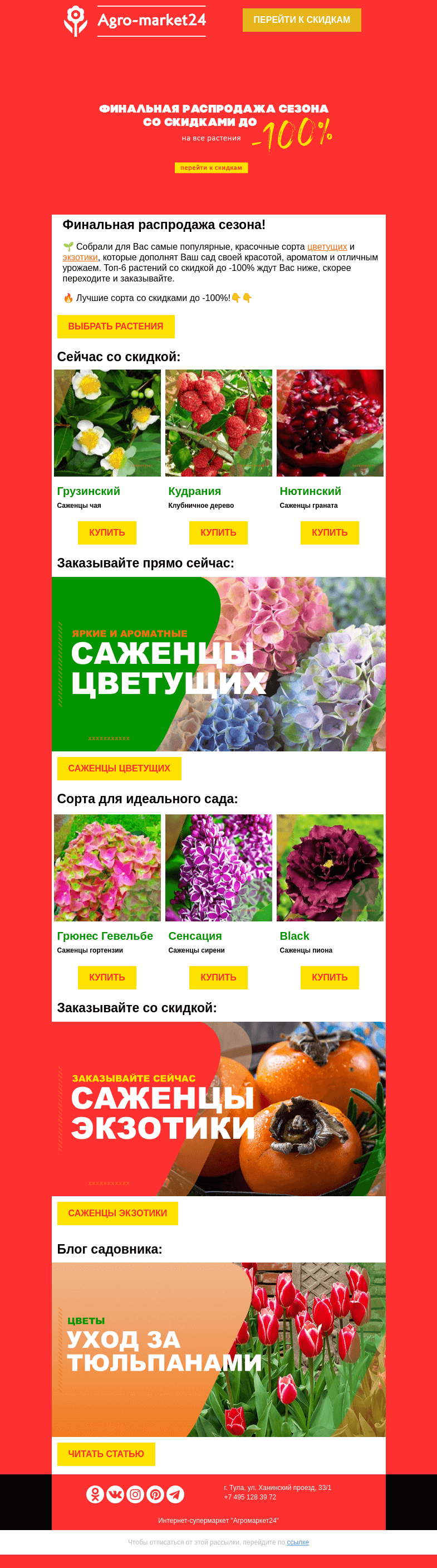 Письмо компании «Agromarket24» на тему «😍🔥 Цветущие и экзотика! Топ-6 сортов со скидкой в письме.»