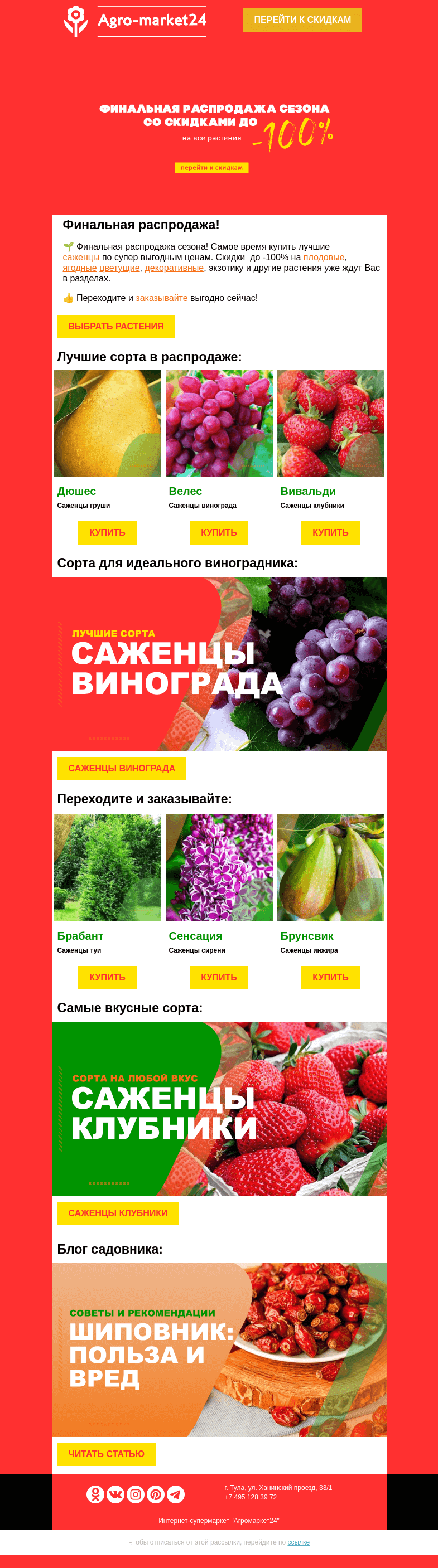 Письмо компании «Agromarket24» на тему «😱❗ Финальная распродажа! До -100% на все растения в каталоге.»
