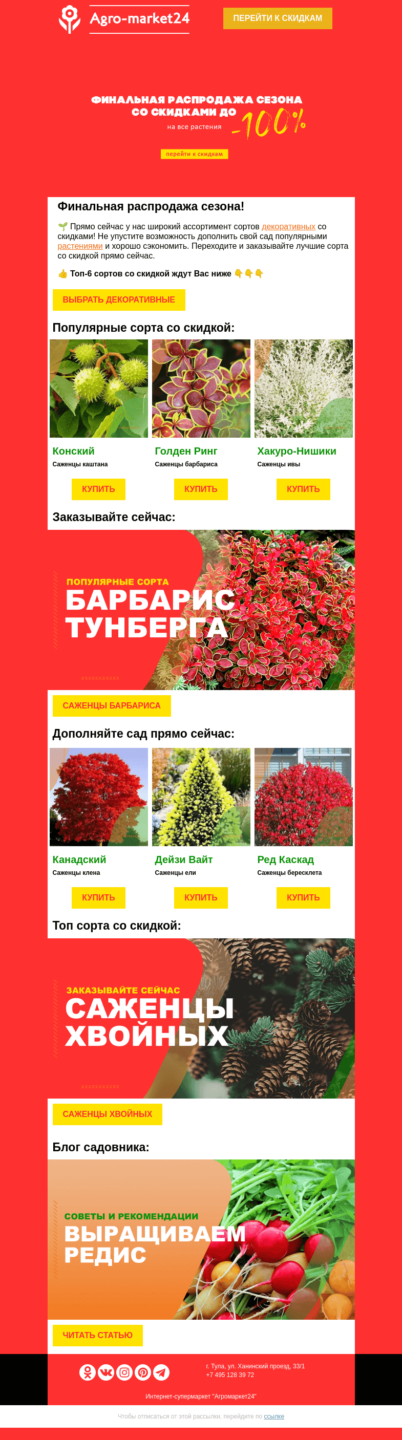 Письмо компании «Agromarket24» на тему «🔥🌱 Финальная распродажа! Топ сорта декоративных со скидкой в письме.»