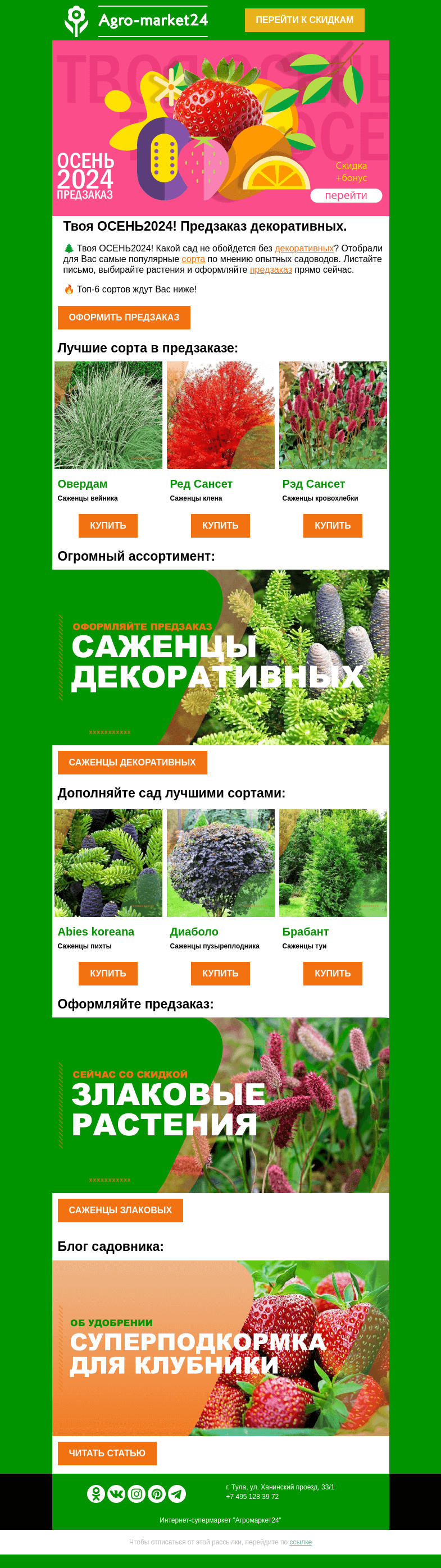 Письмо компании «Agromarket24» на тему «🌱🌲 Декоративные в предзаказе! Топ-6 сортов со скидкой в письме.👉👉»