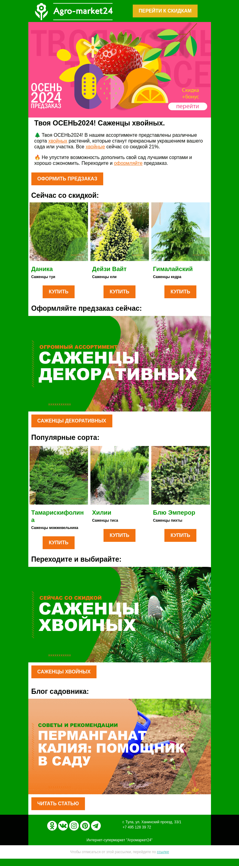 Письмо компании «Agromarket24» на тему «🌲🌱 Саженцы хвойных! Топ-6 сортов со скидкой в предзаказе.»