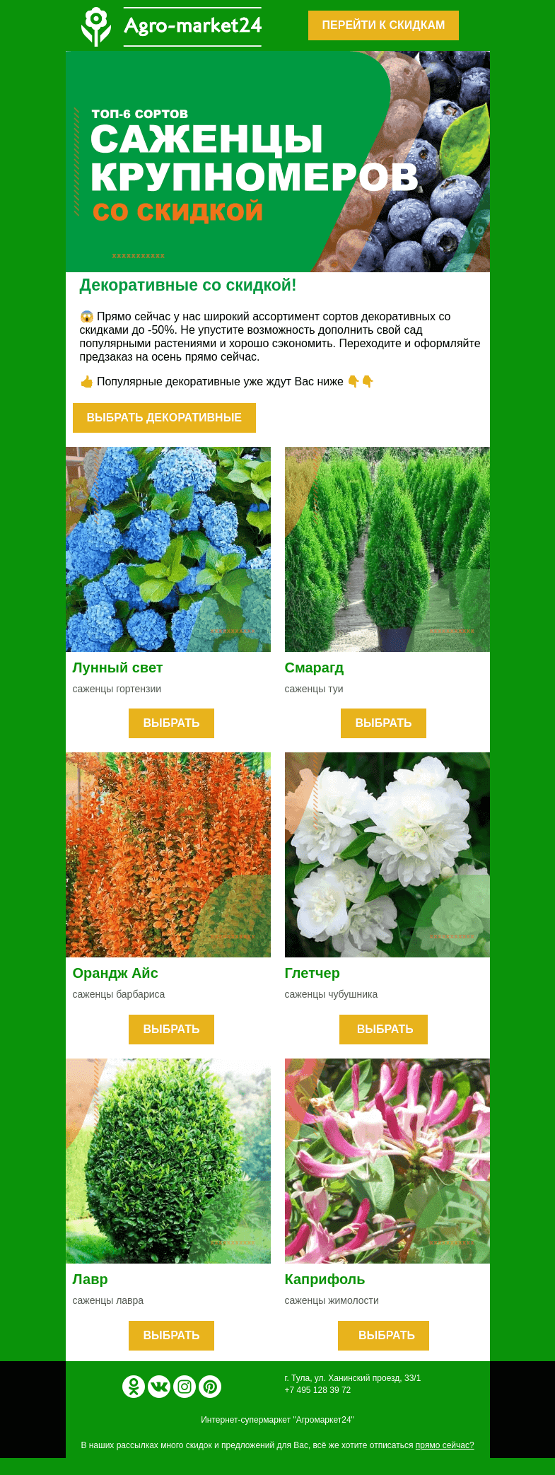 Письмо компании «Agromarket24» на тему «😉🌱 Декоративные со скидкой! Топ-6 сортов уже в письме.»