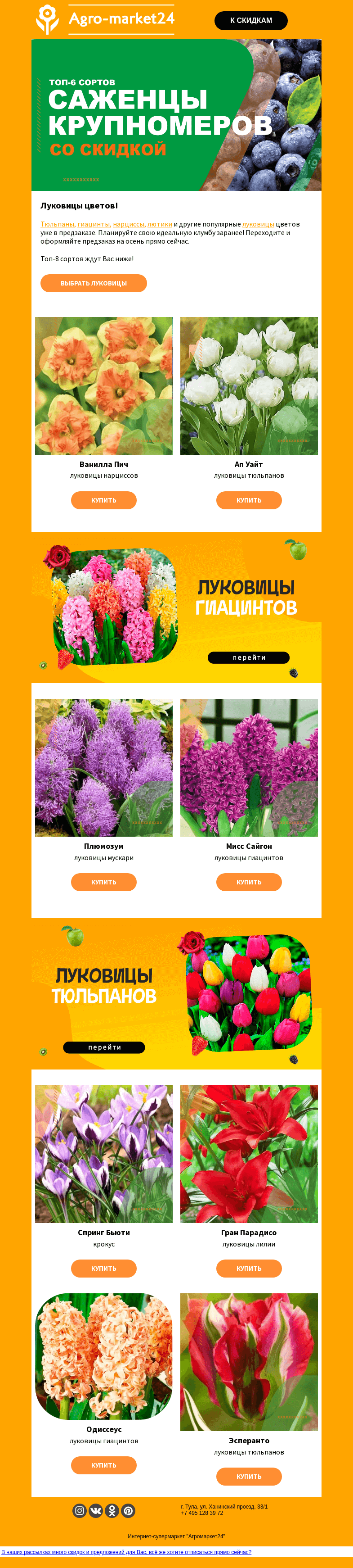 Письмо компании «Agromarket24» на тему «🌷🌱 Луковицы цветов! Оформляйте предзаказ на осень прямо сейчас.»