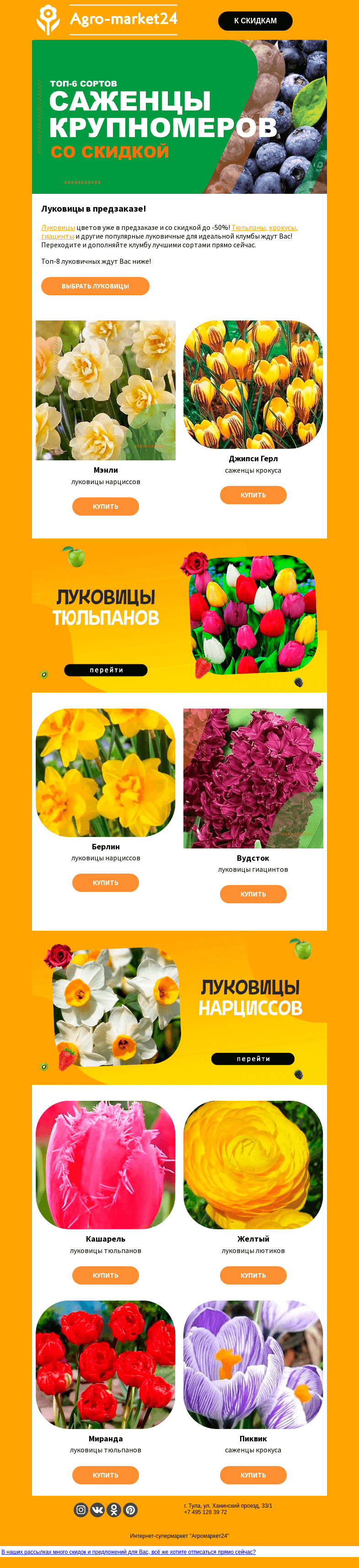 Письмо компании «Agromarket24» на тему «🌱😍 Луковицы в предзаказе! Топ-8 сортов для Вашей клумбы.»