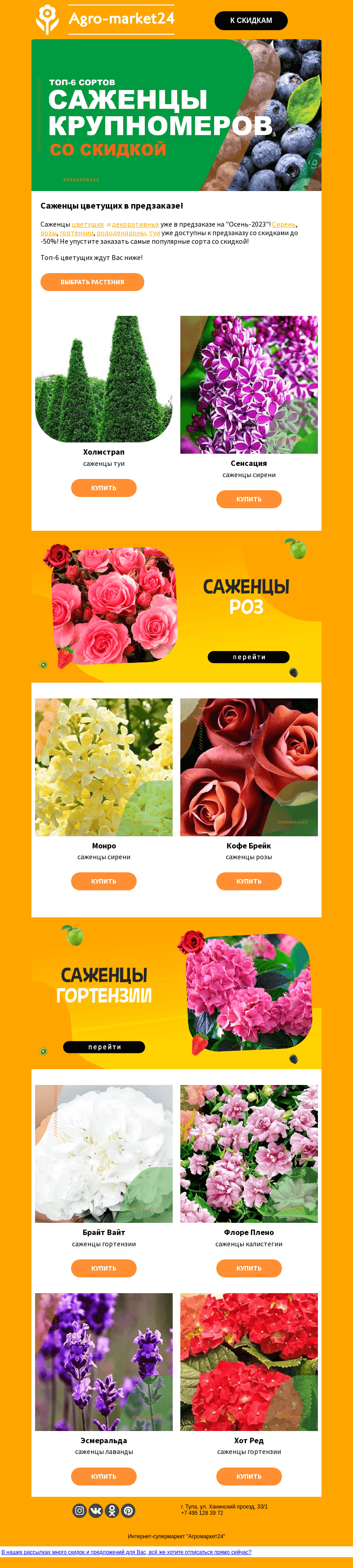 Письмо компании «Agromarket24» на тему «🌹🔥 Цветущие и декоративные! Оформляйте предзаказ со скидкой до -50%.»