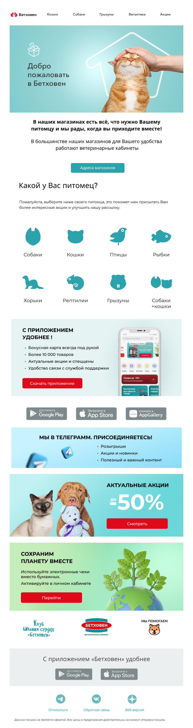Письмо компании «Бетховен  Зоомагазин» на тему « Добро пожаловать в Бетховен! 🐱🐶»