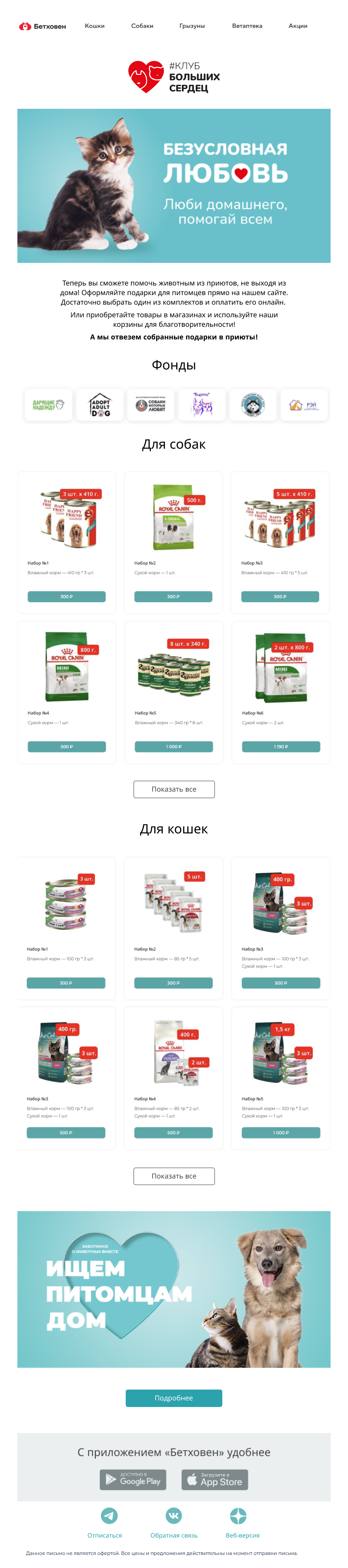 Письмо компании «Бетховен  Зоомагазин» на тему «Люби своего, помогай всем! 💞»