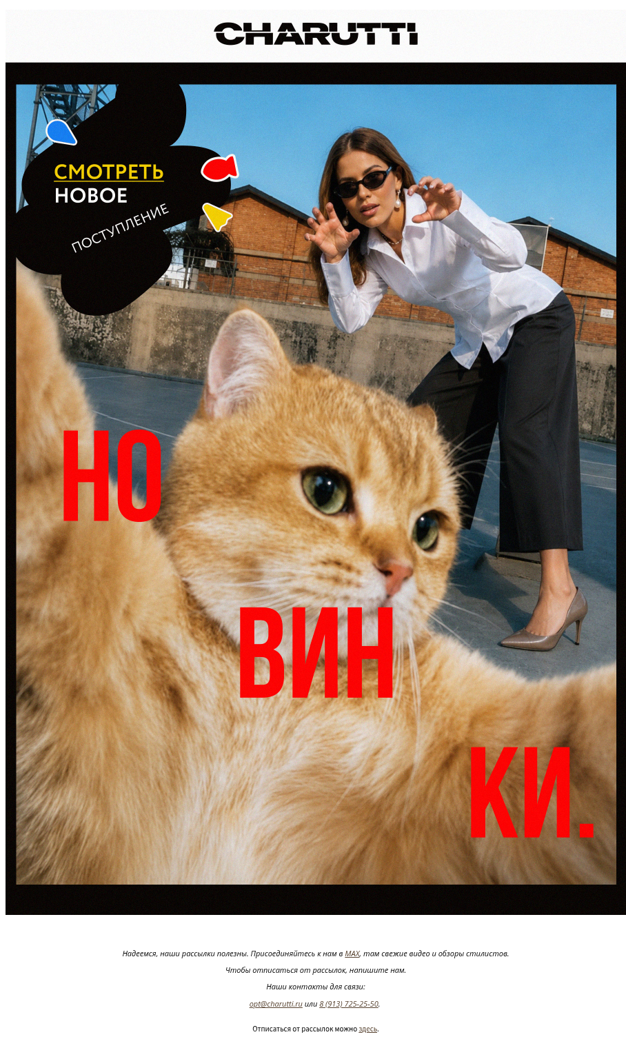Письмо компании «CHARUTTI» на тему «😼 Кот не врёт — новенькое вас ждёт»