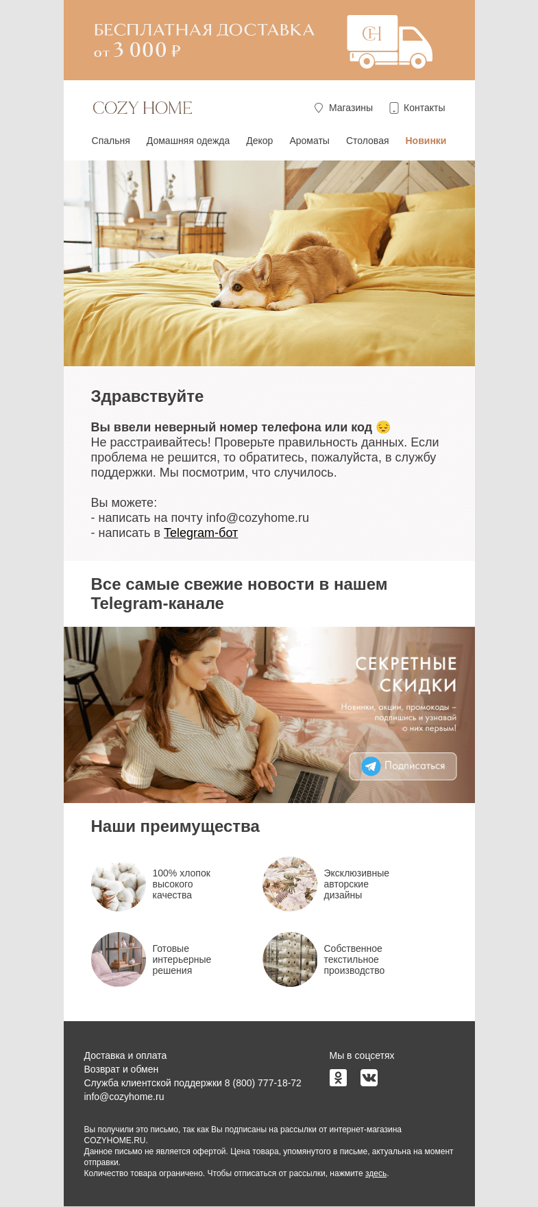 Письмо компании «Cozy Home» на тему «Где-то произошла ошибка 😢»