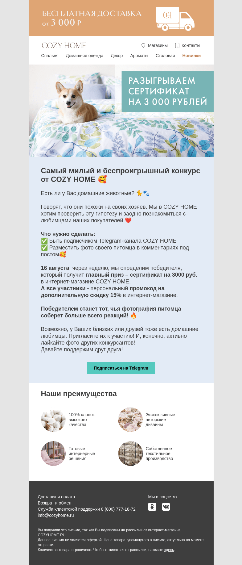 Письмо компании «Cozy Home» на тему «Выиграйте сертификат на 3000 рублей🎉»