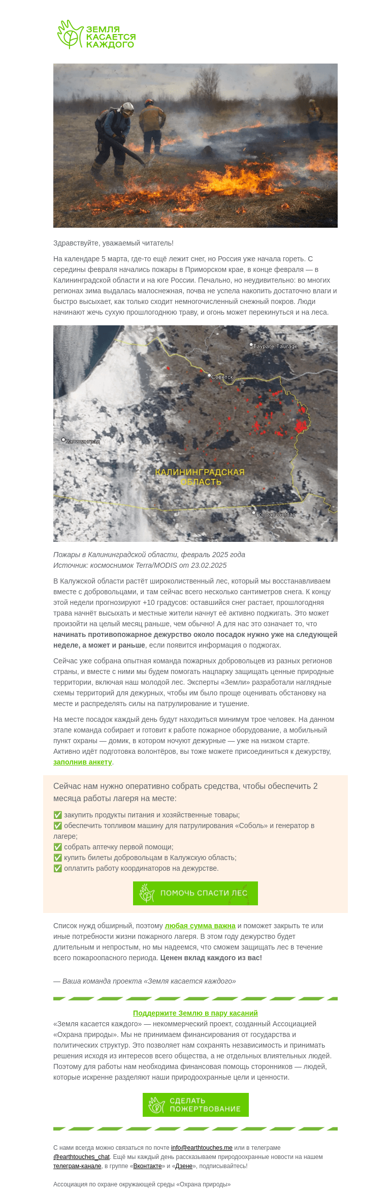 Письмо компании «Земля касается каждого» на тему «Сможем ли мы спасти от огня наш лес?»