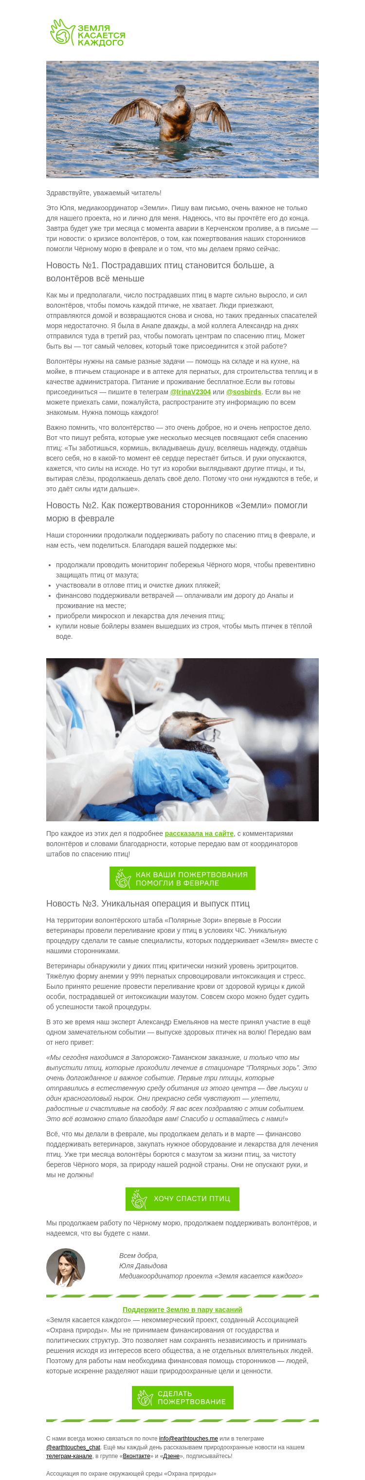 Письмо компании «Земля касается каждого» на тему «🚨 В Анапе резко выросло число пострадавших птиц»