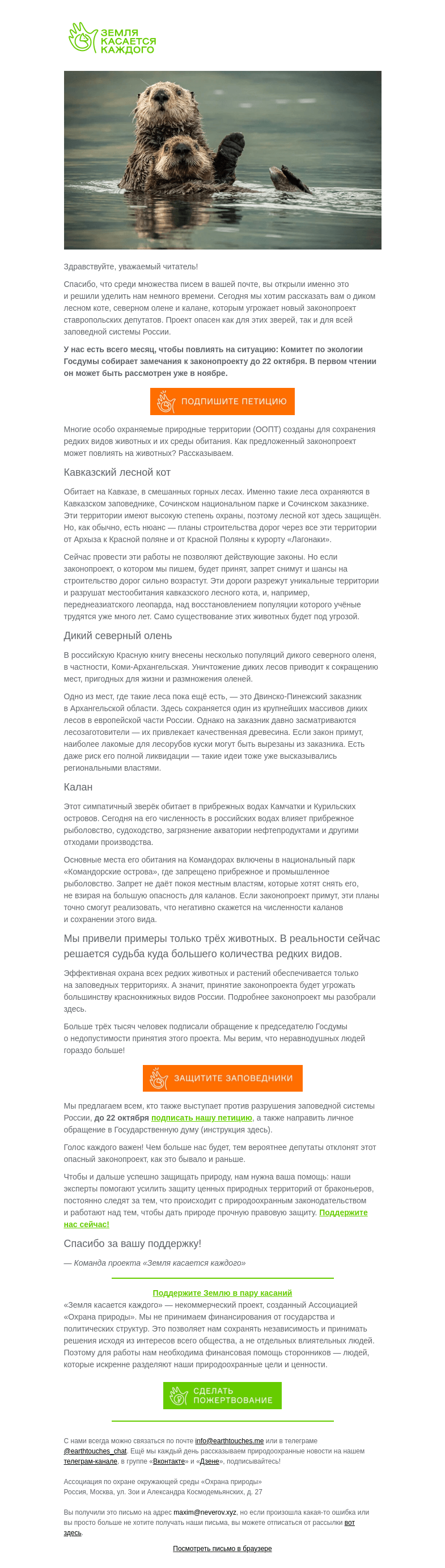 Письмо компании «Земля касается каждого» на тему «Защитить лесного кота, северного оленя и калана…»