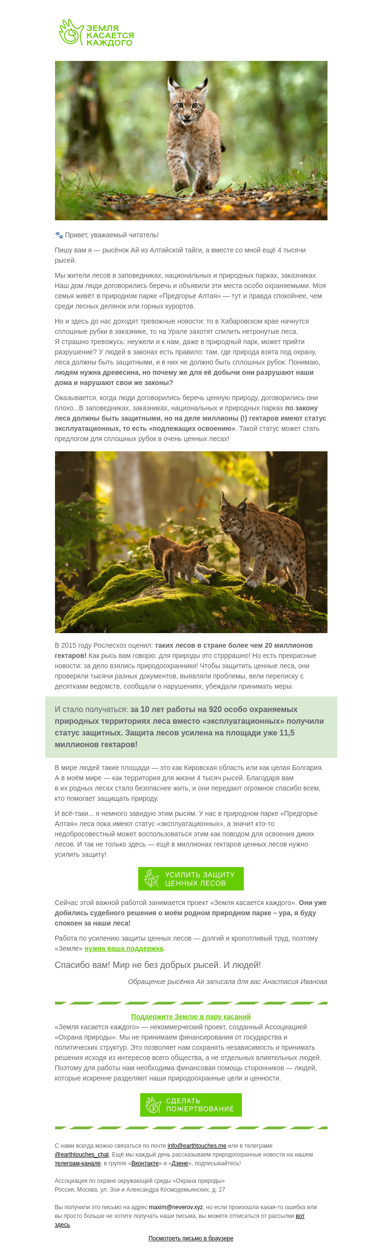 Письмо компании «Земля касается каждого» на тему «🐾 Обращение рысёнка Ая и 4 тысяч рысей»
