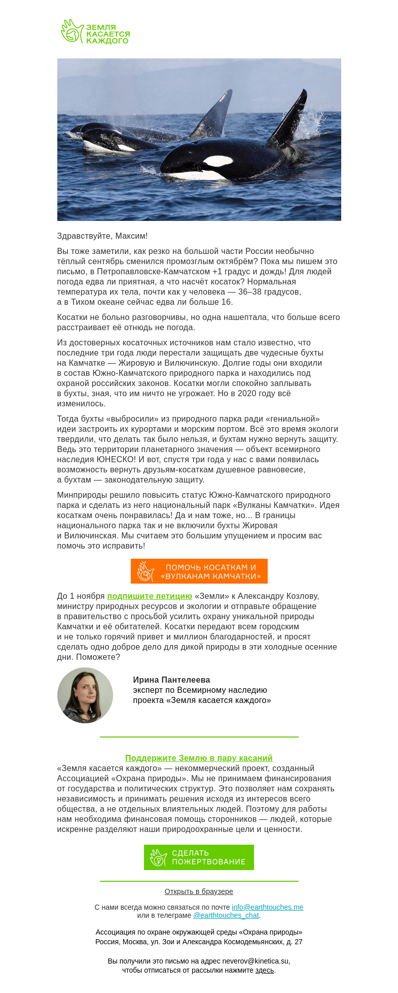 Письмо компании «Земля касается каждого» на тему «Согрейте камчатских косаток своей заботой»