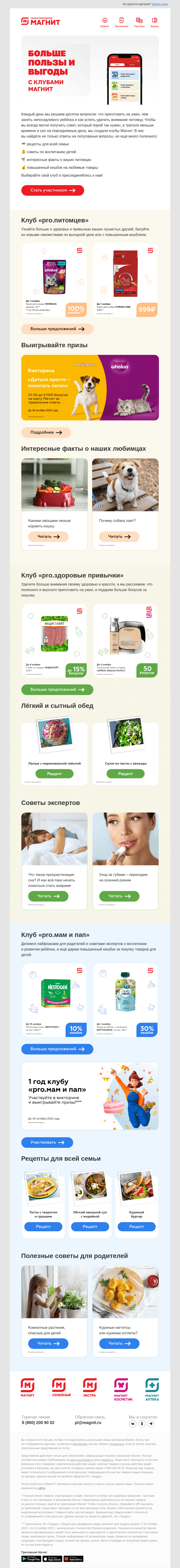 Письмо компании «Магнит» на тему «Кешбэк до 💯% 🔔»