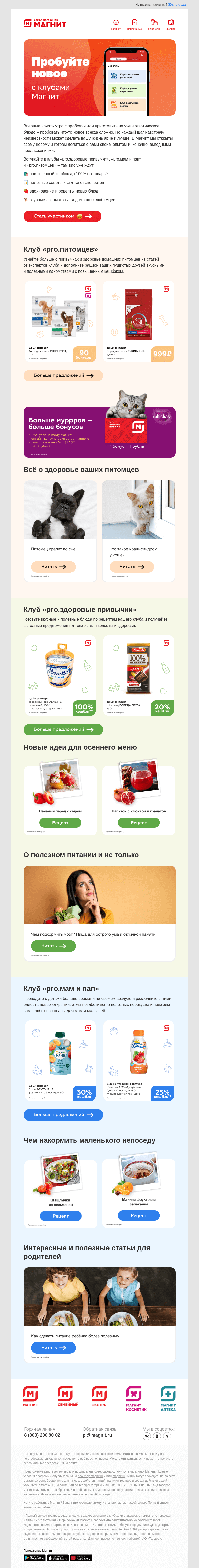 Письмо компании «Магнит» на тему «Успейте поймать 100% кешбэк ✨»