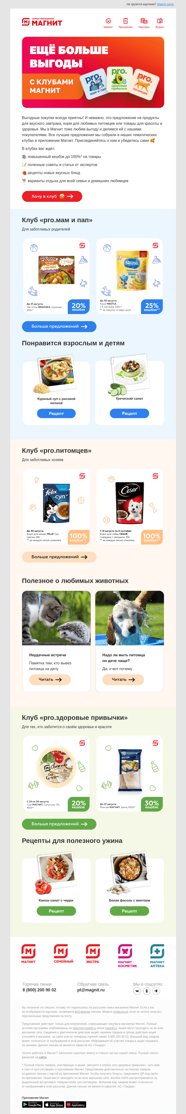 Письмо компании «Магнит» на тему «Не упустите кешбэк до 100% 👑»