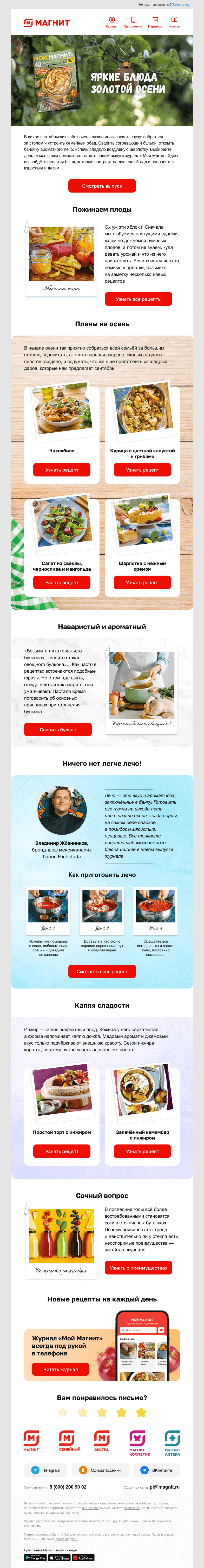 Письмо компании «Магнит» на тему «🥧🍲 Рецепты ароматных осенних блюд»