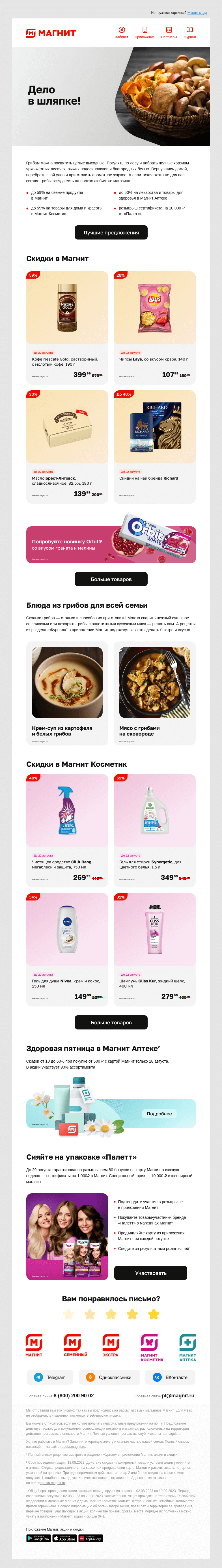 Письмо компании «Магнит» на тему «Тссс! Идёт охота 🍄🔎»